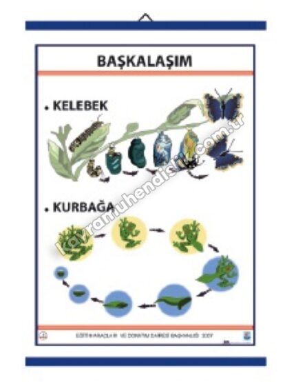 Başkalaşım Levhası - KYR0701