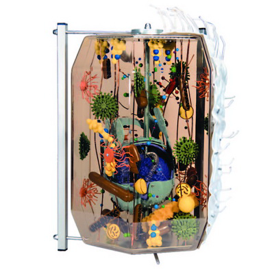 Cam Hücre Modeli K20090