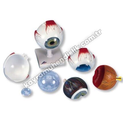 Dev Göz Modeli KEA 8810