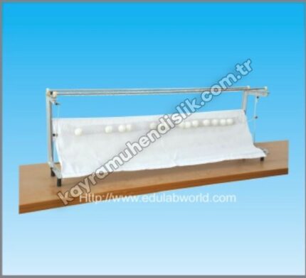 Enine ve Boyuna Dalgalar Demonstrasyonu