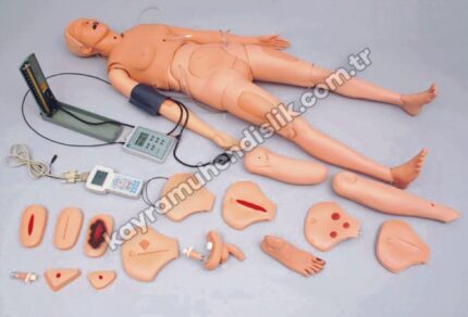 HL-2400 Hemşirelik Uygulamaları Maketi