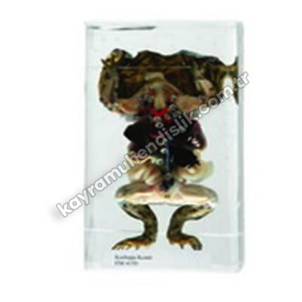 Kurbağa Kesiti K20400