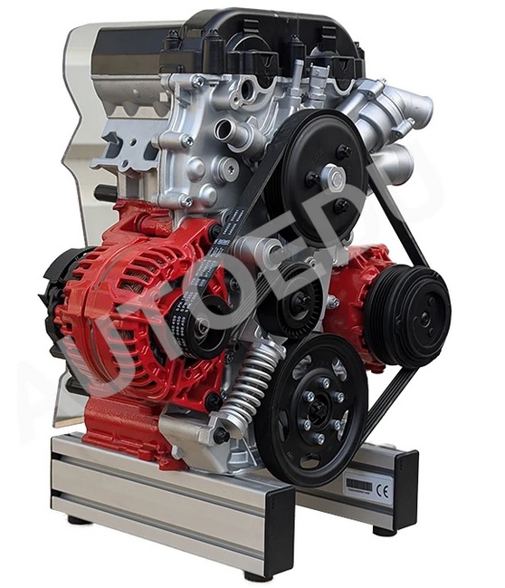 Petrol(benzin) DOHC MPI Motor ½ Kesit Model - IVDB02 Petrol(benzin) DOHC MPI Motor ½ Kesit Model - IVDB02