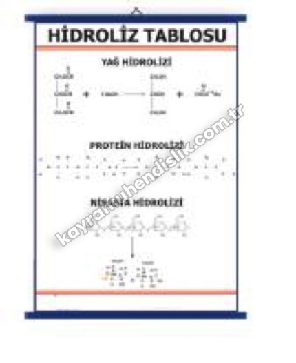 Hidroliz Tablosu - KYR0761