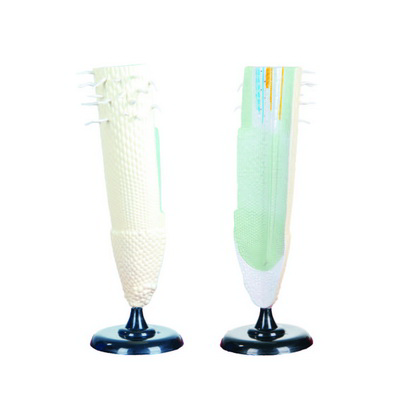 Bitki Kök Modeli K20150